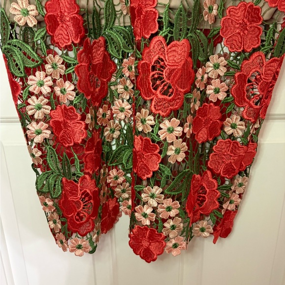 Xscape (Macy’s) Blush Dress with Red and Green Floral Crochet Embroidery - Picture 5 of 9